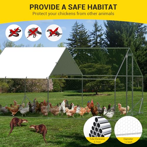 Large Metal Chicken Coop, Walk-in Poultry Cage