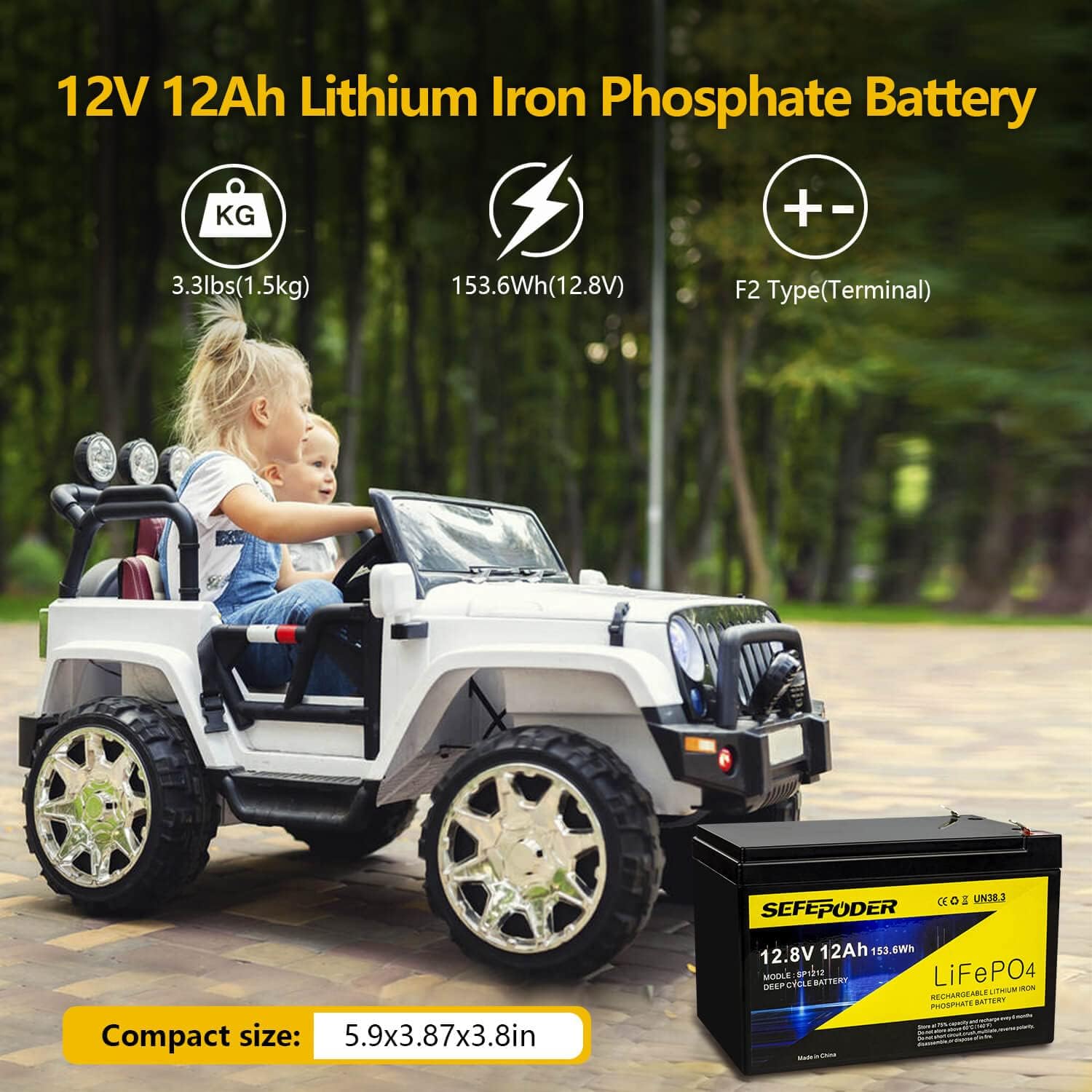 12V 12Ah LiFePO4 Lithium Ion Rechargeable Battery, 2000+ Deep Cycle Maintenance-Free Battery for Solar Power, UPS Backup, Lighting, Power Wheels