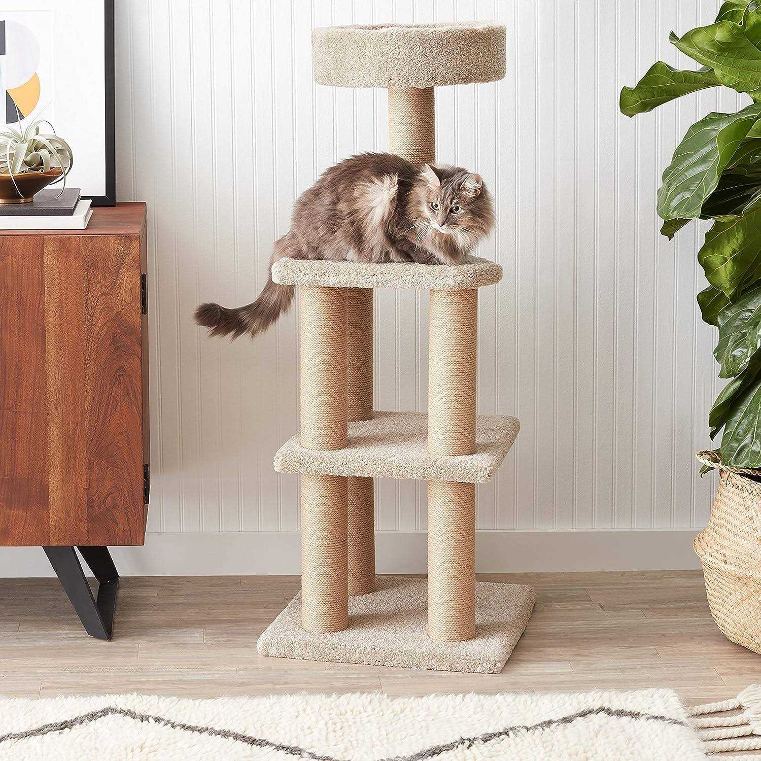AmazonBasics Cat Tree with Scratching Posts - Pet Supplies online store