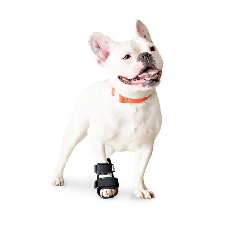 Walkin& Pet Splint for Dogs, Canine Bootie Style Leg Splint Medium