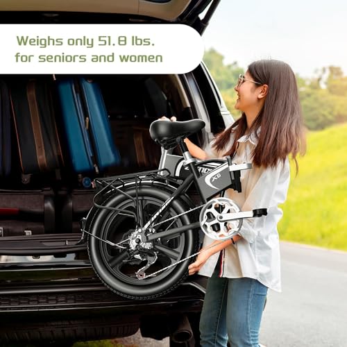Folding Electric Bike for Adults, 750W Motor(1000W Peak),30MPH, 60Mile,48V 12.8AH/15AH/20AH Battery,20" Fat Tire Foldable Electric Bicycle