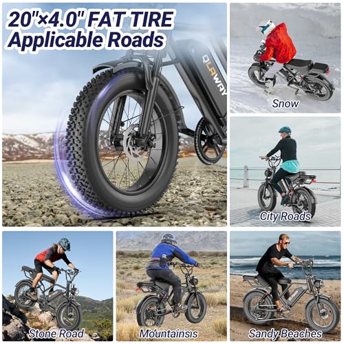 Fat Tire Electric Dirt Bike 750w for Adults 20" Full Suspension Electric Motorcycle Ebikes 48V 15.6AH Removable Battery,31MPH Top Speed