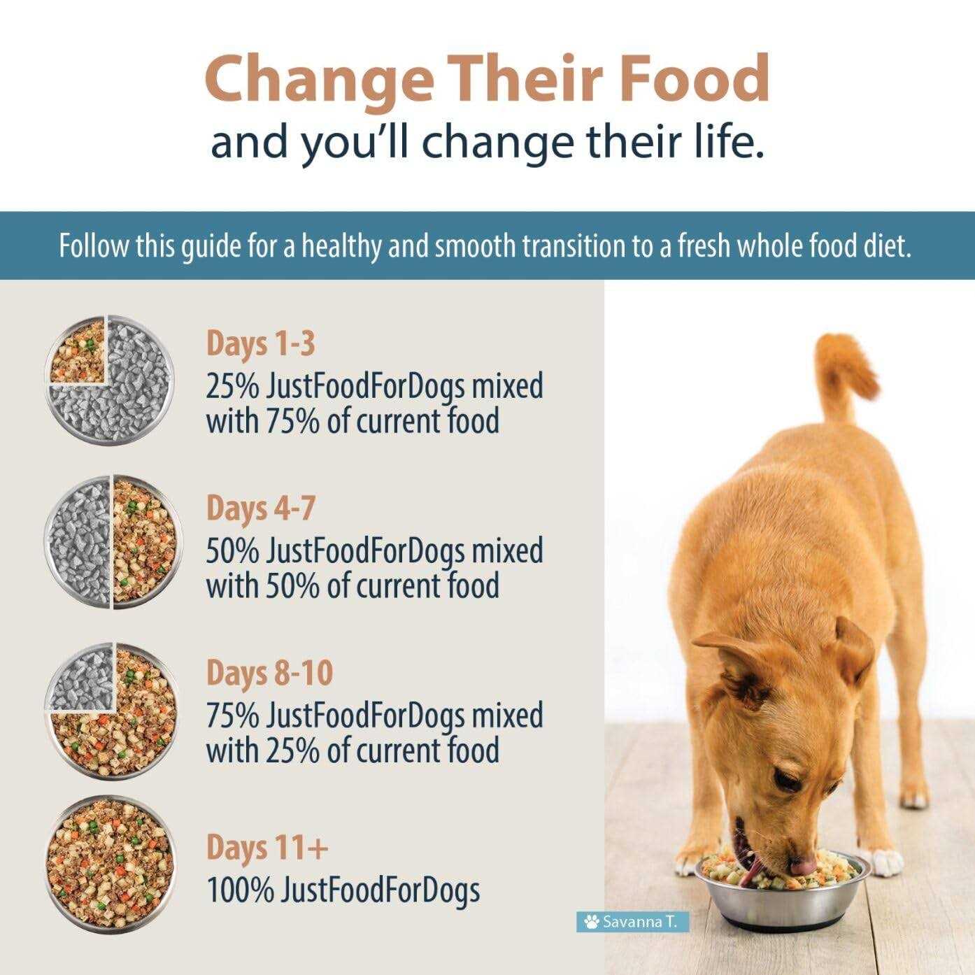 JustFoodForDogs Renal Support Low Protein Diet - Pet Supplies online store