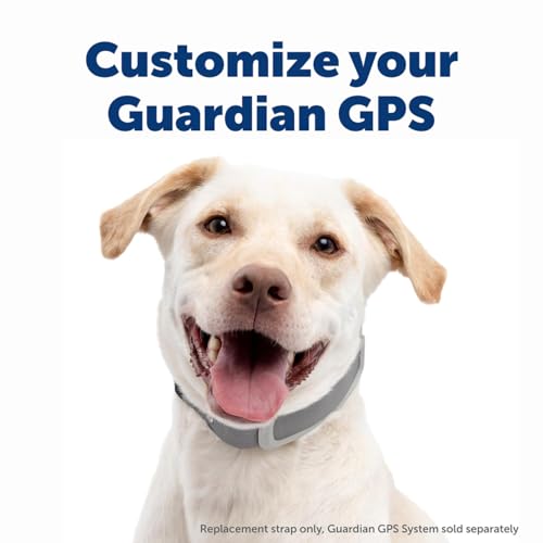 PetSafe Guardian GPS Dog Fence – No Subscription – Create Your Own Wireless Fence for Dogs – for Yards 3/4 Acres or Larger – World's Safest GPS Dog