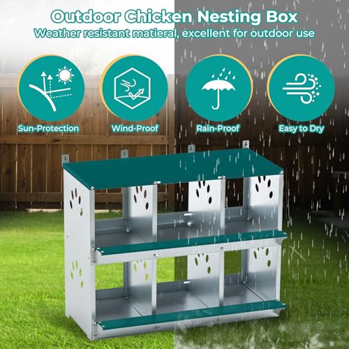 Chicken Coop Nesting Boxes, Wall Mountable Metal Chicken Nesting Box, Easy Egg Collection Roll Away Nesting Boxes Chicken