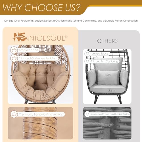 NICESOUL Stationary Egg Chair Indoor Outdoor Wicker Oversized Thick Cushions Egg Shaped Loveseat Chair
