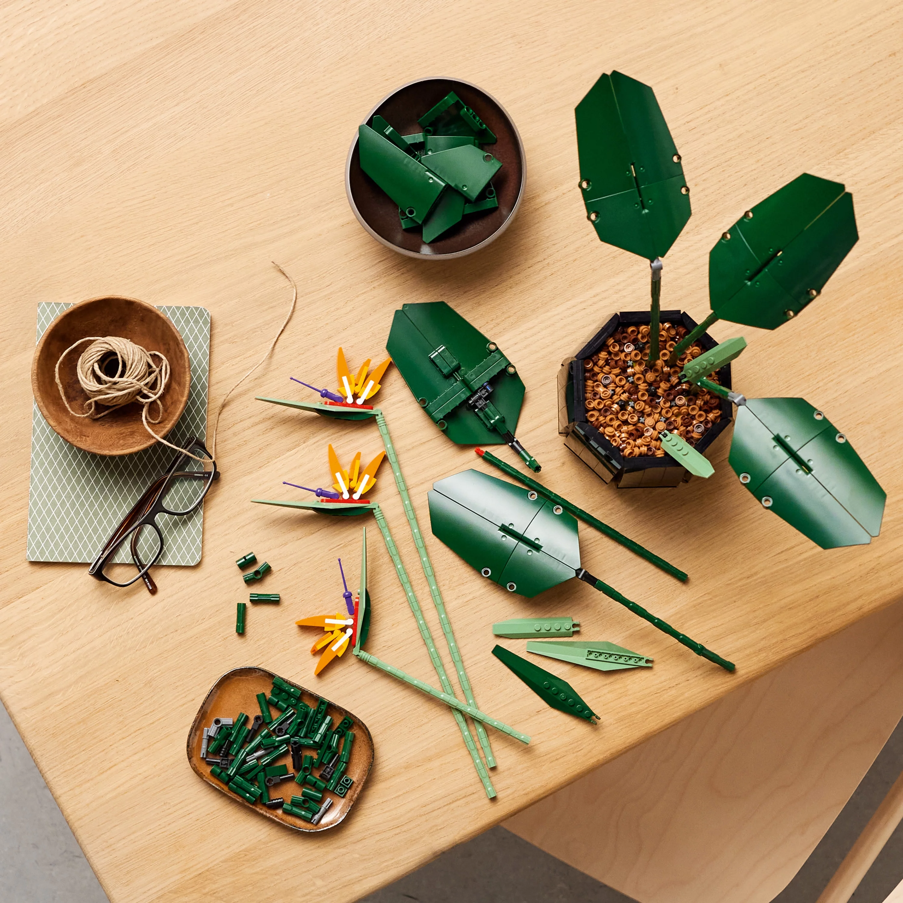 LEGO Icons Botanical Collection Bird of Paradise 10289, Flowers & Plants Model, DIY Set for Adults, Creative Activity, Office or Home Décor Gift Idea