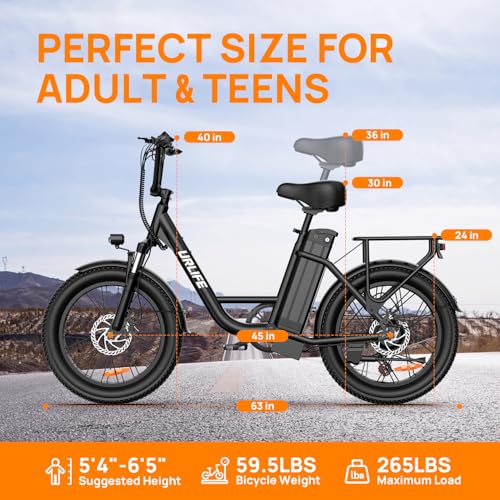 URLIFE Electric Bike for Adults, 1000W Peak Motor Ebike, 48V 13Ah Removable Battery, 28MPH,80 Miles Max
