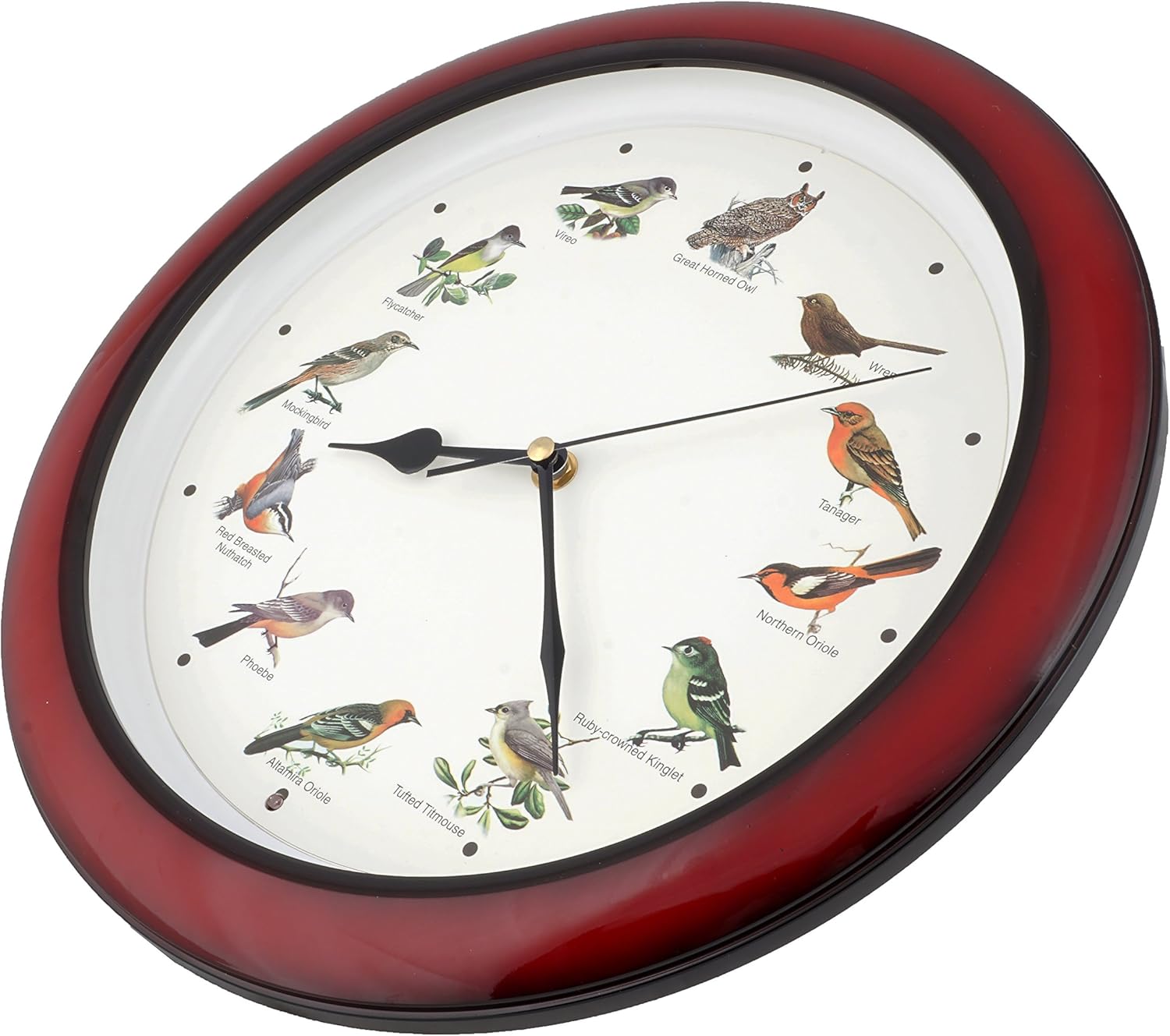 JUSTIME Lovely Collection 14-inch Plays 12 Popular North American Bird's Songs Wall Clock Mantel Clock Home Deco Multicolor(TCBD-OWL-R Dark Red)