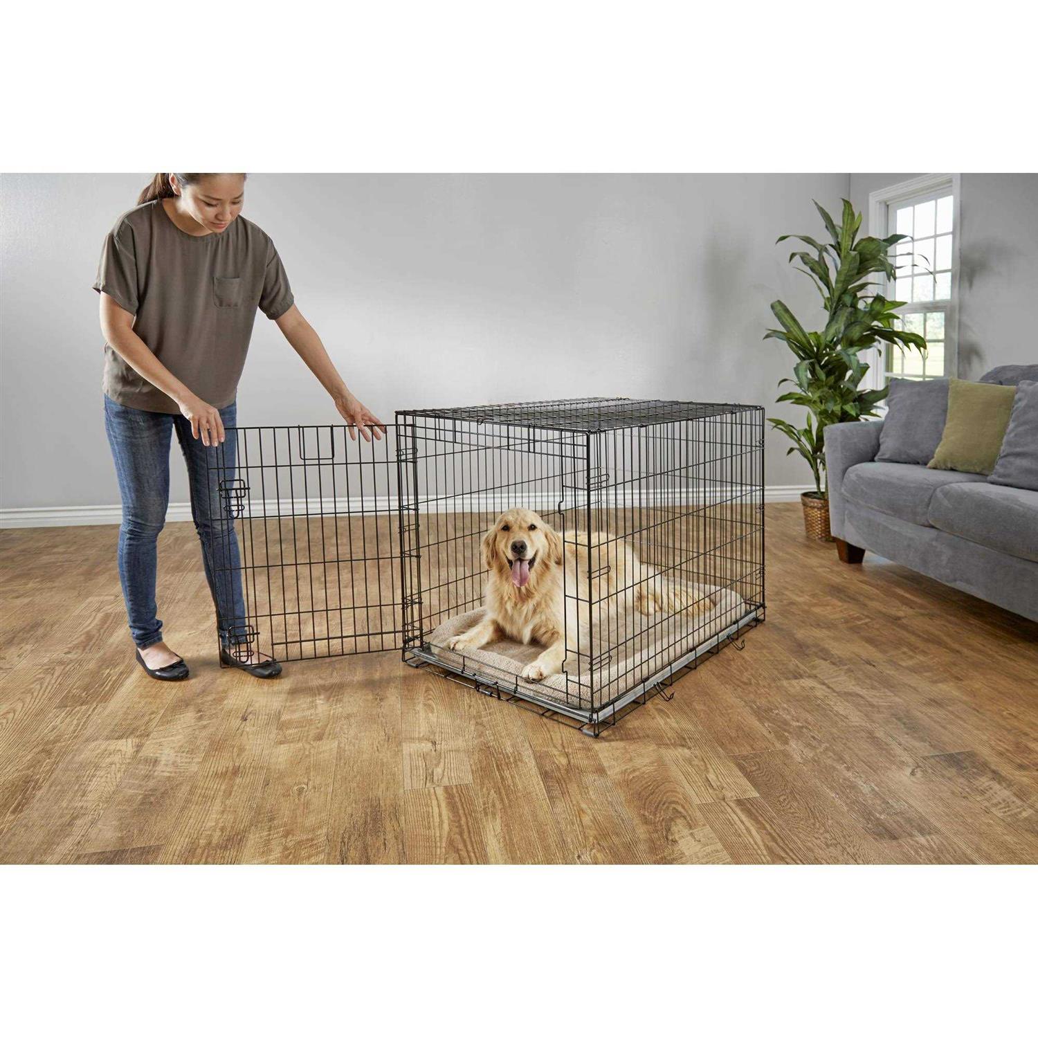 EveryYay Dog Crate - Pet Supplies online store