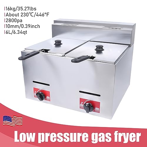 LPG Gas Deep Fryer Commercial Countertop Deep Gas Fryer Natural Gas Food Warmer Stainless Steel for French Fries Restaurant Home Kitchen