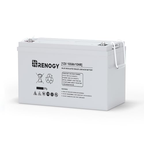 Renogy Deep Cycle AGM 12 Volt 100Ah Battery, 3% Self-Discharge Rate, 1100A Max Discharge Current, Safe Charge Appliances for RV, Camping, Cabin