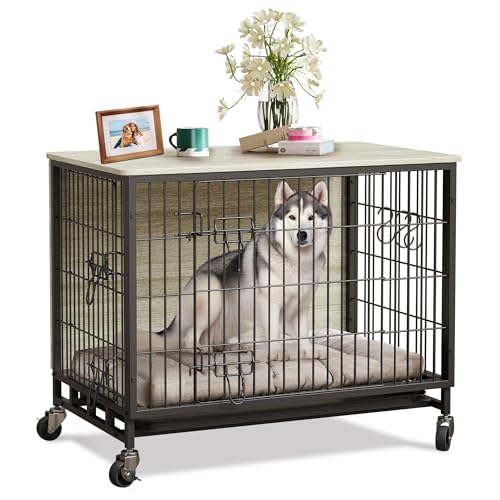 Heavy Duty Metal Dog Crate, Indoor Outdoor Pet Kennel Cage with Shelves, Storage Cabinet, Modern Decorative Dog Cage Furniture