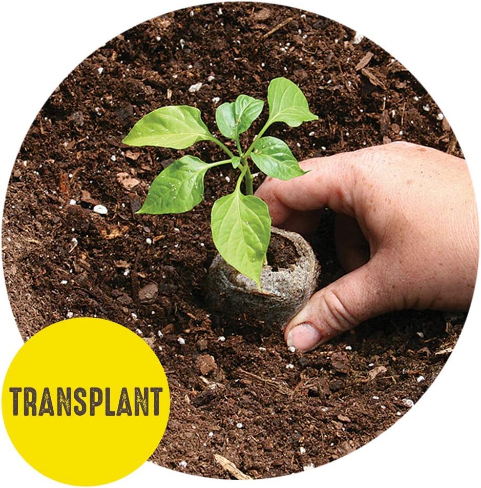 Jiffy 42mm Seed Starting Greenhouse Kit with 25 Biodegradable Expanding Peat Pellets