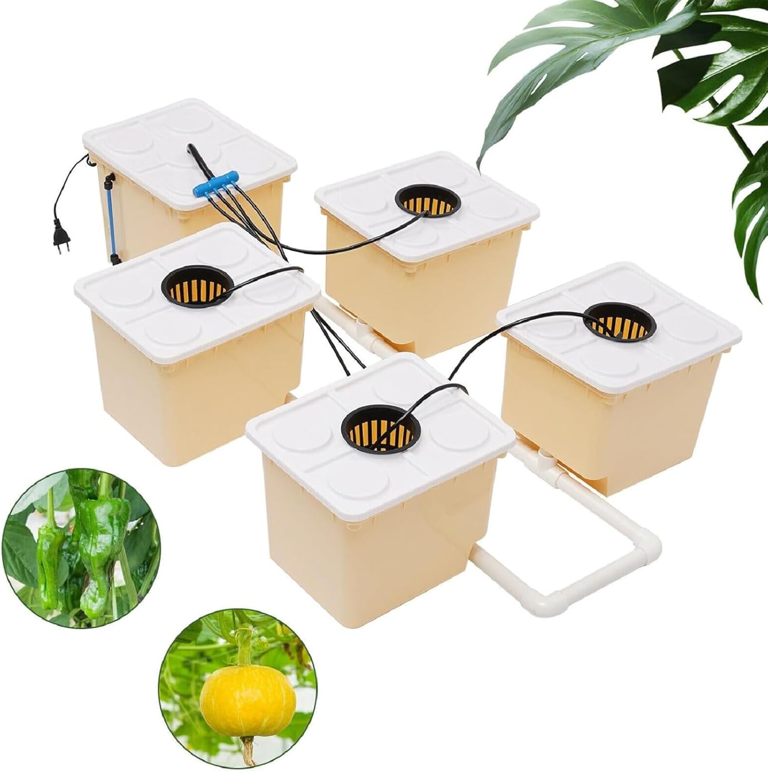 DWC Hydroponics System, 2.91 Gallon Deep Water Culture Growing System with 5 Sites Dutch Buckets and Lids