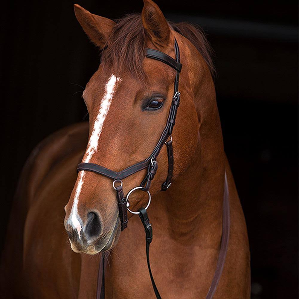 Micklem Competition Bridle