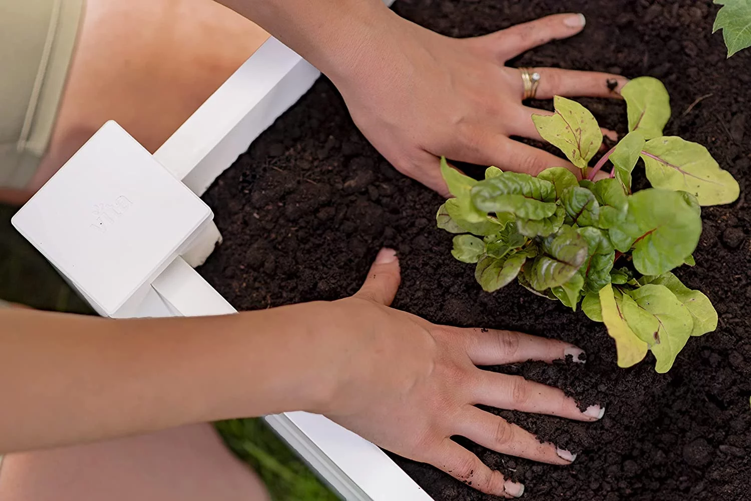 Vita Classic 4 ft x 4 ft x 11 in White Vinyl Raised Garden Bed, VT17108 - Curated Treasures Market