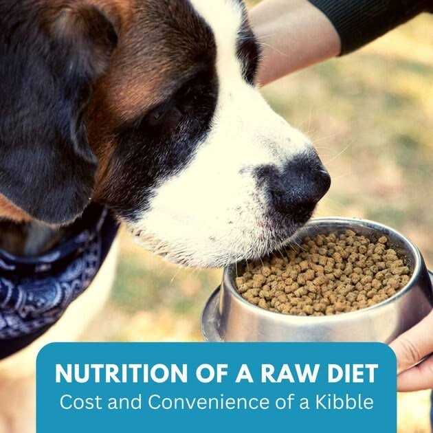 Ketona Chicken Recipe Adult Dry Dog Food Natural Low Carb High Protein - Pet Supplies online store
