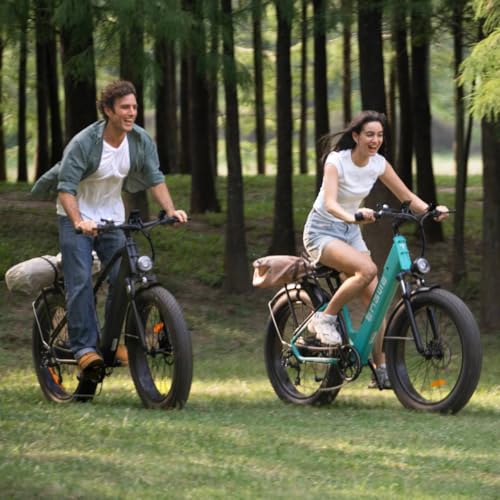 ENGWE Electric Bike for Adults 750W Electric Mountain Ebike 26" x 4.0 Fat Tire Electric Bicycle, with 48V 768Wh Battery, 25MPH - Up to 90Miles Range
