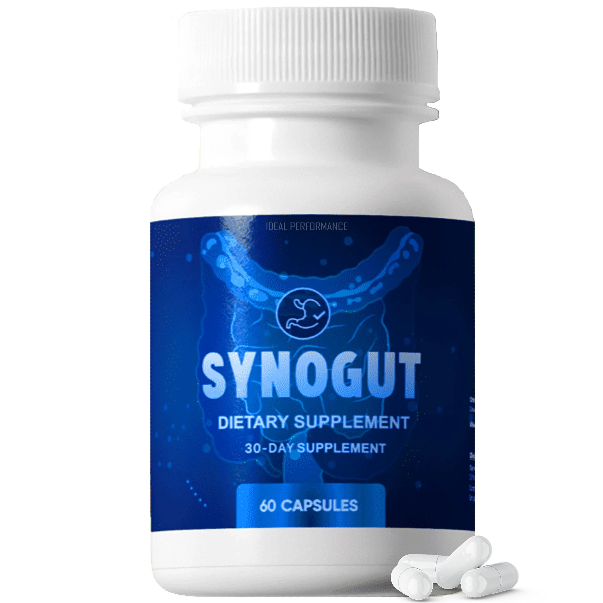 IDEAL PERFORMANCE Synogut Pills Dietary Supplement for Gut Health (1 Bottle) - Kansas Nuitrition - HNZSDS