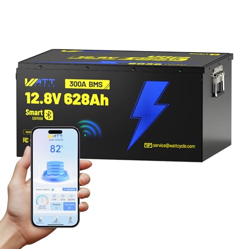12V 314Ah Mini LiFePO4 Lithium Battery with Bluetooth 5.0, 200A BMS, 4.01kWh Energy, Upgraded Aluminum Cooling Fins & Braided Copper Wires, for RV