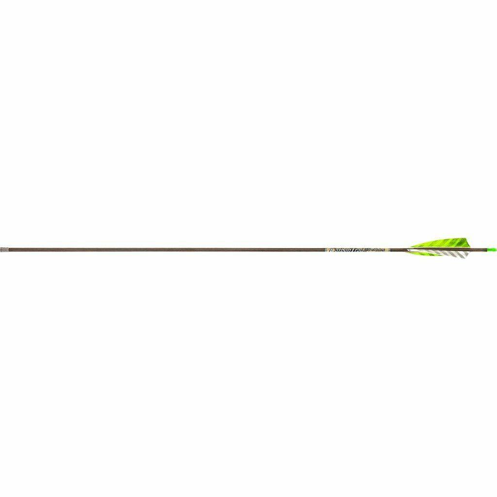 Victory Carbon Trad Sport Arrows 550 4 in. Feathers 6 Pack