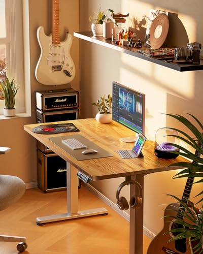ErGear Height Adjustable Electric Standing Desk, 48 x 24 Inches Sit Stand up Desk, Memory Computer Home Office Desk with Two-Piece Desktop (Walnut)