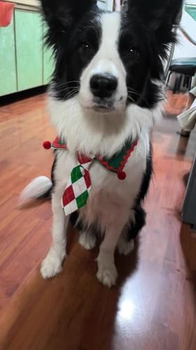 Christmas Dog Scarf Bandana Bow Tie, Adjustable 14-17 Inch Pet Neckerchief for Small Medium Dogs & Cats