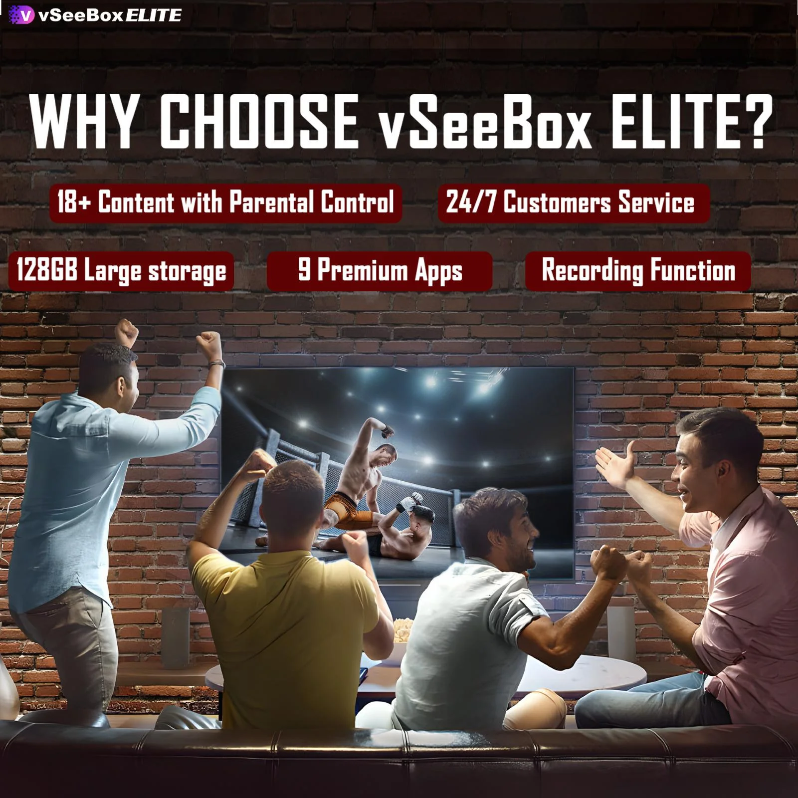 VseeBox Elite - Radiant Selections