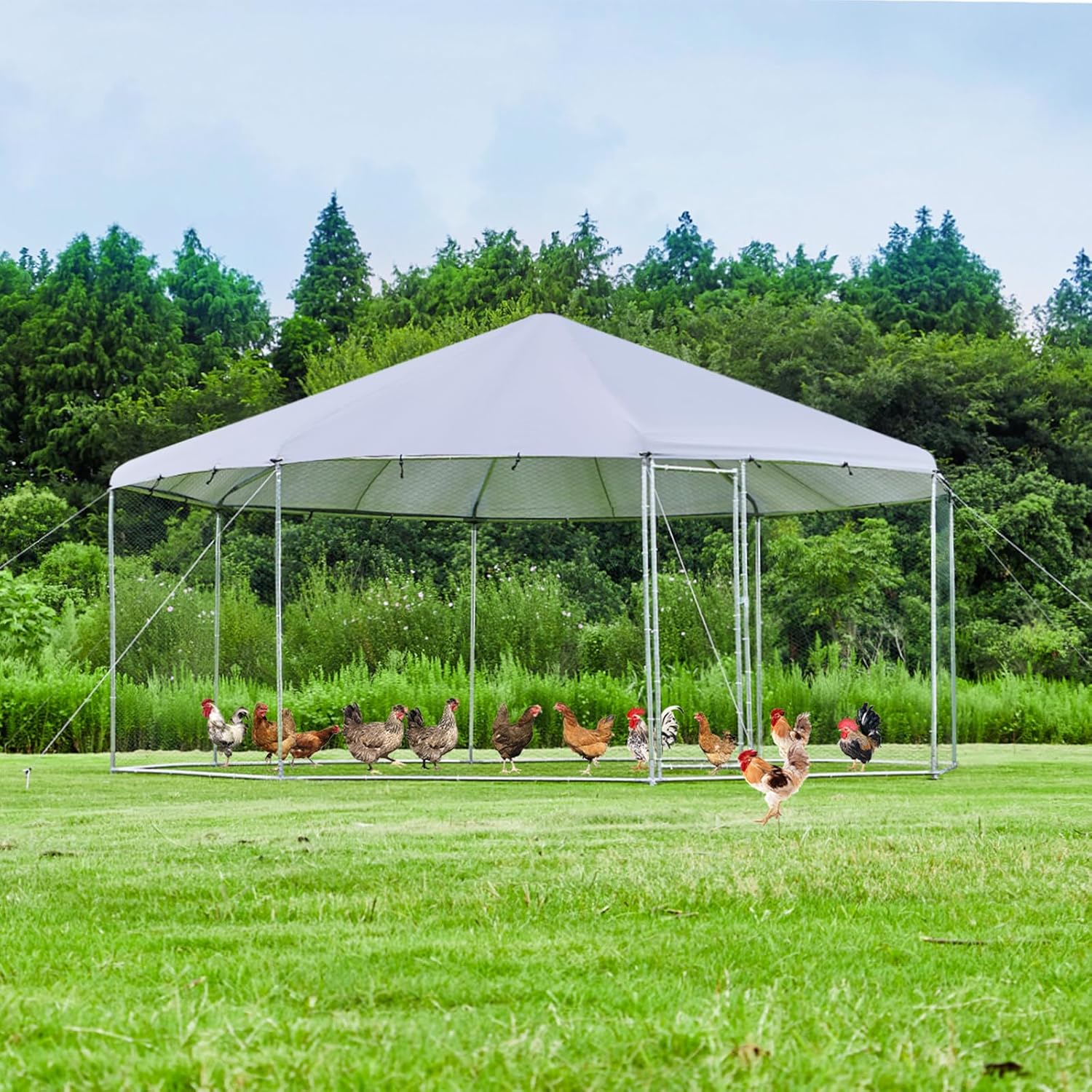Large Octagon Chicken Coop, Heavy-Duty Chicken Run 17.4' Diameter with Galvanized Steel Frame & Water-Resistant Oxford Tarp