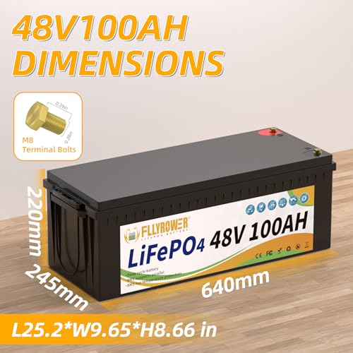 FLLYROWER 12V Lithium Battery 100AH With BMS and 16500 Deep Cycles 12V 100AH Lifepo4 Battery Grade A Cells for Marine Trolling Motor RV camping Solar