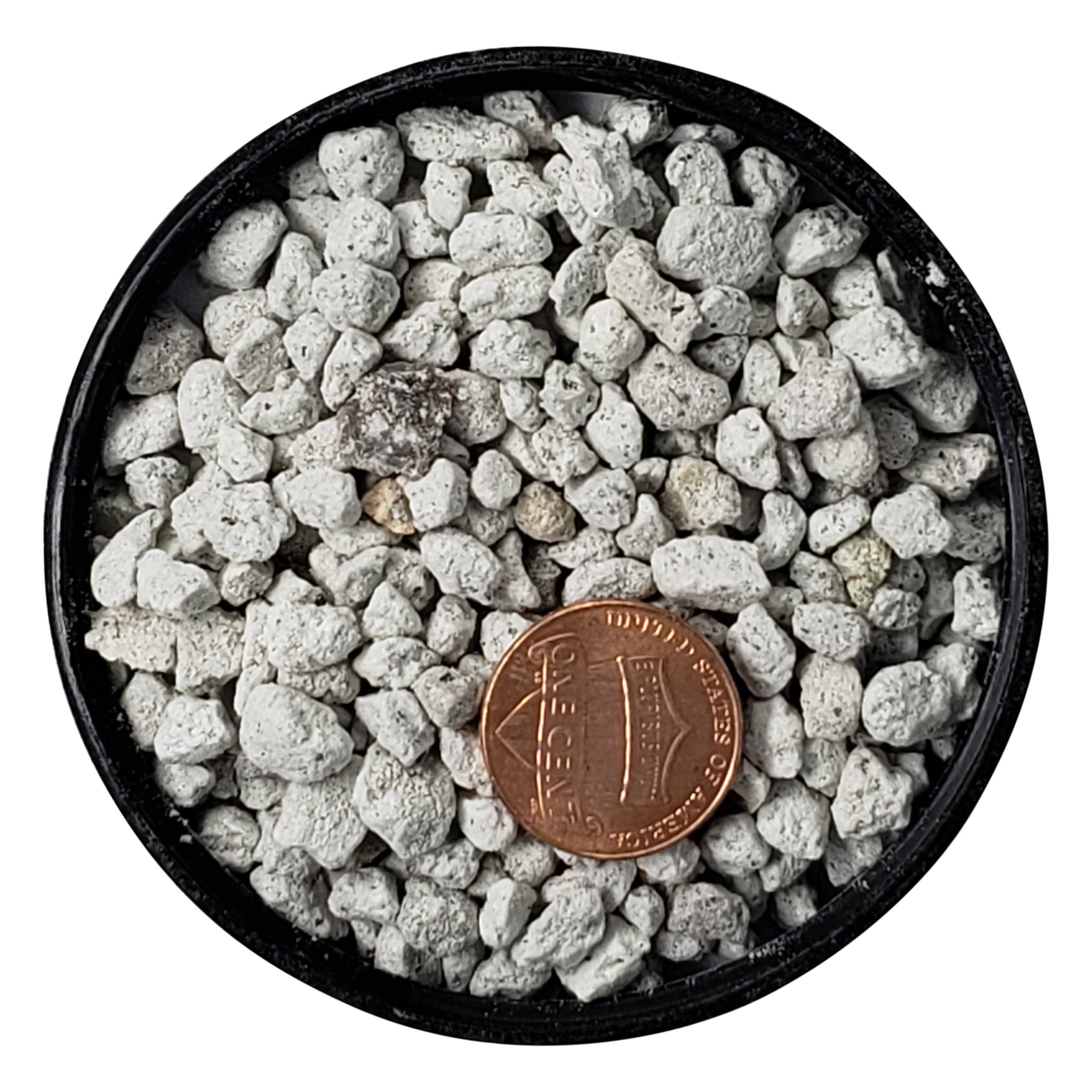 Bonsai Pumice Soil, 13 Liters / 5mm - Small