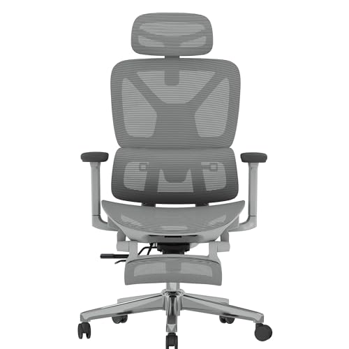 FLEXISPOT ErgoX Premium Ergonomic Office Chair with Footrest- Adjustable 3D Armrests, Dynamic Lumbar Support, Recline & Tilt Function, Mesh Seat