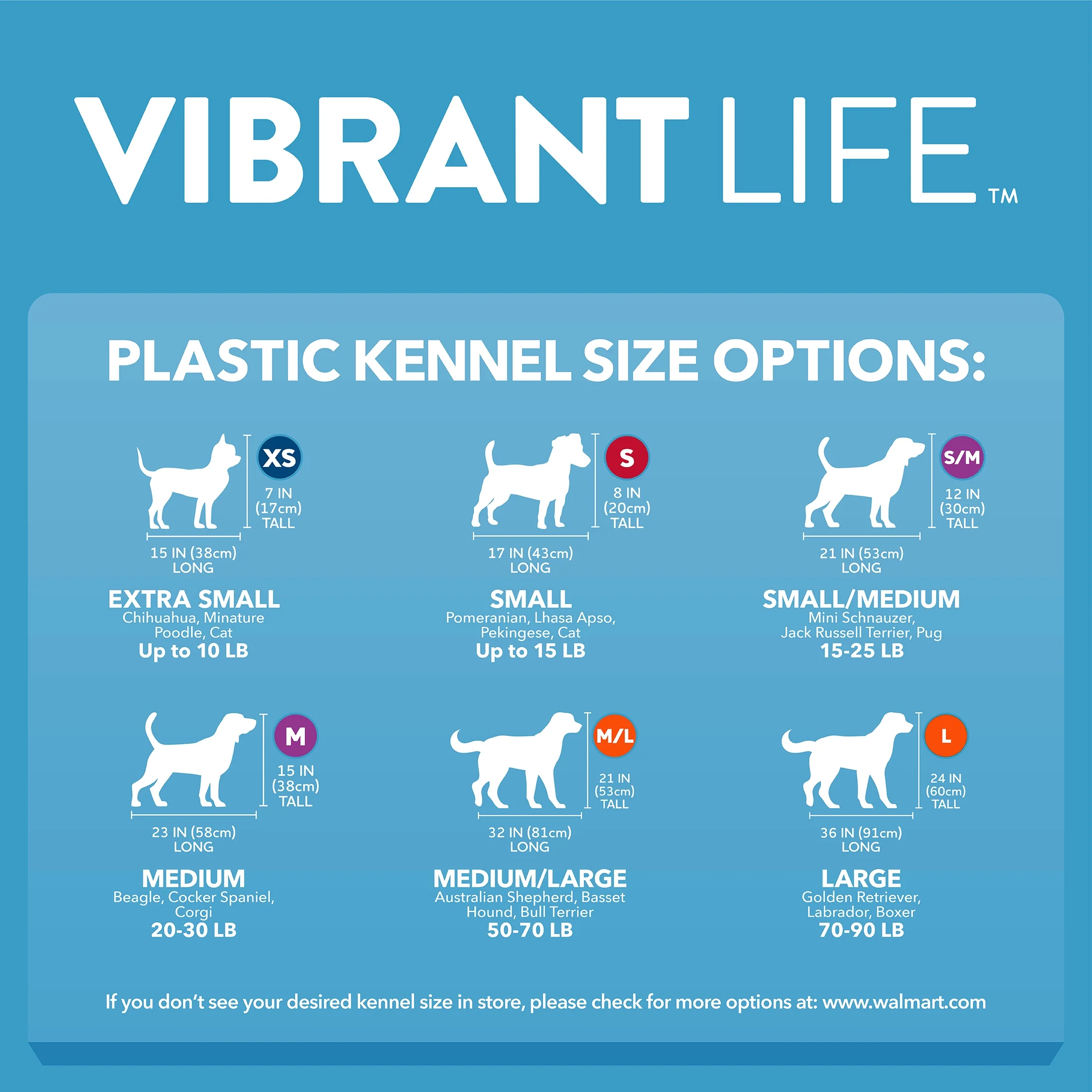 Vibrant Life Pet Kennel 19 X-Small Plastic Dog Crate Portable Carrier for Pets Up To 10 lbs