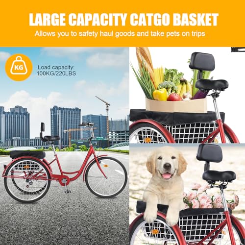 Adult Tricycles, 7 Speed Adult Trikes 24 inch 3 Wheel Bikes, Cruise Bike with Basket for Seniors, Women, Men for Recreation, Shopping, Exercise