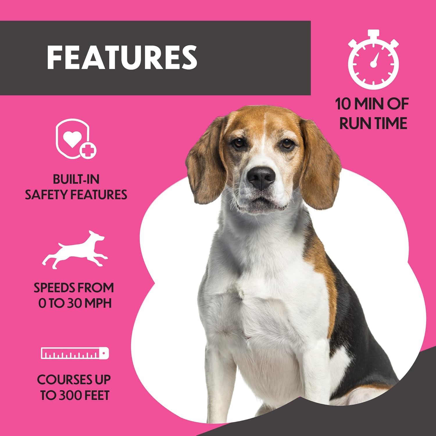 Swift Paws Home Remote-Control Capture-The-Flag Toy for Dogs, Fun Lure Course for Exercise