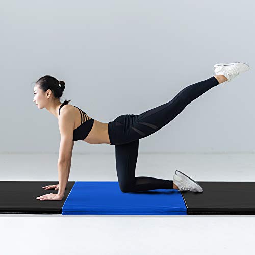 We Sell Mats - 4 ft x 6 ft x 2 - Personal Fitness & Exercise Mat for Home Workout