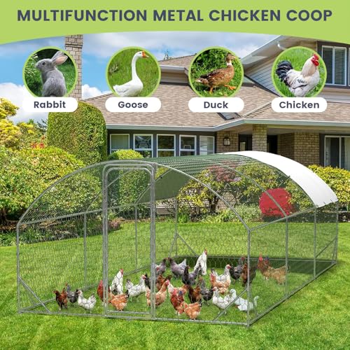 Large Metal Chicken Coop, Walk-in Poultry Cage