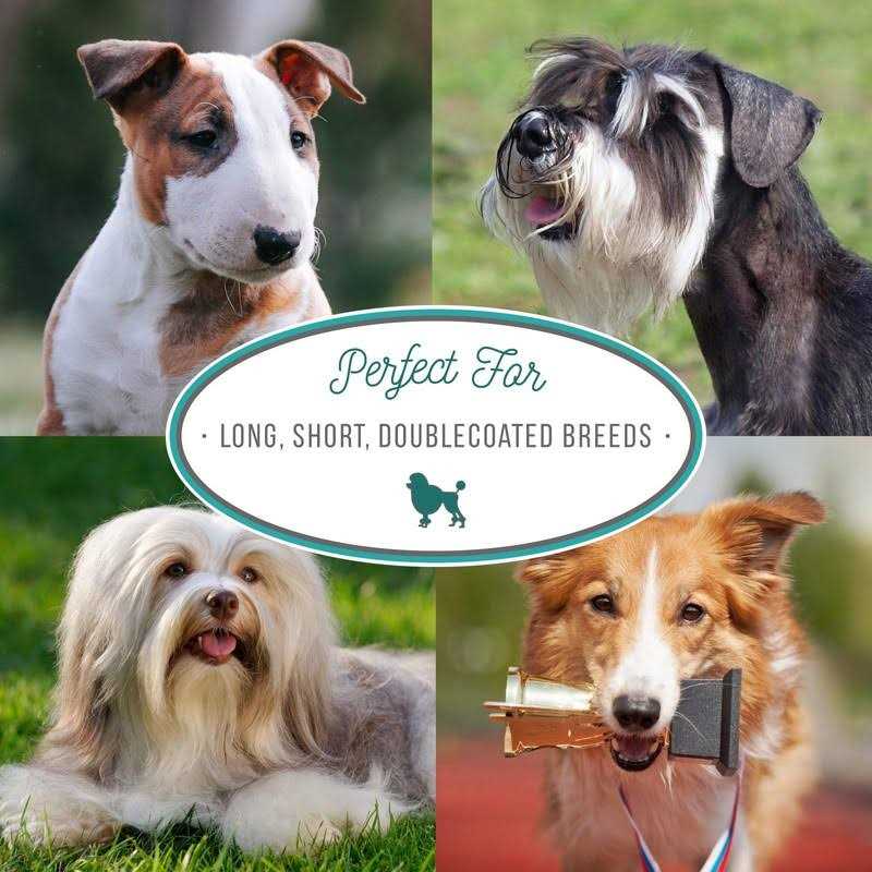Nature's Specialties Super EZ Dematt Conditioner for Dogs Cats - Pet Supplies online store