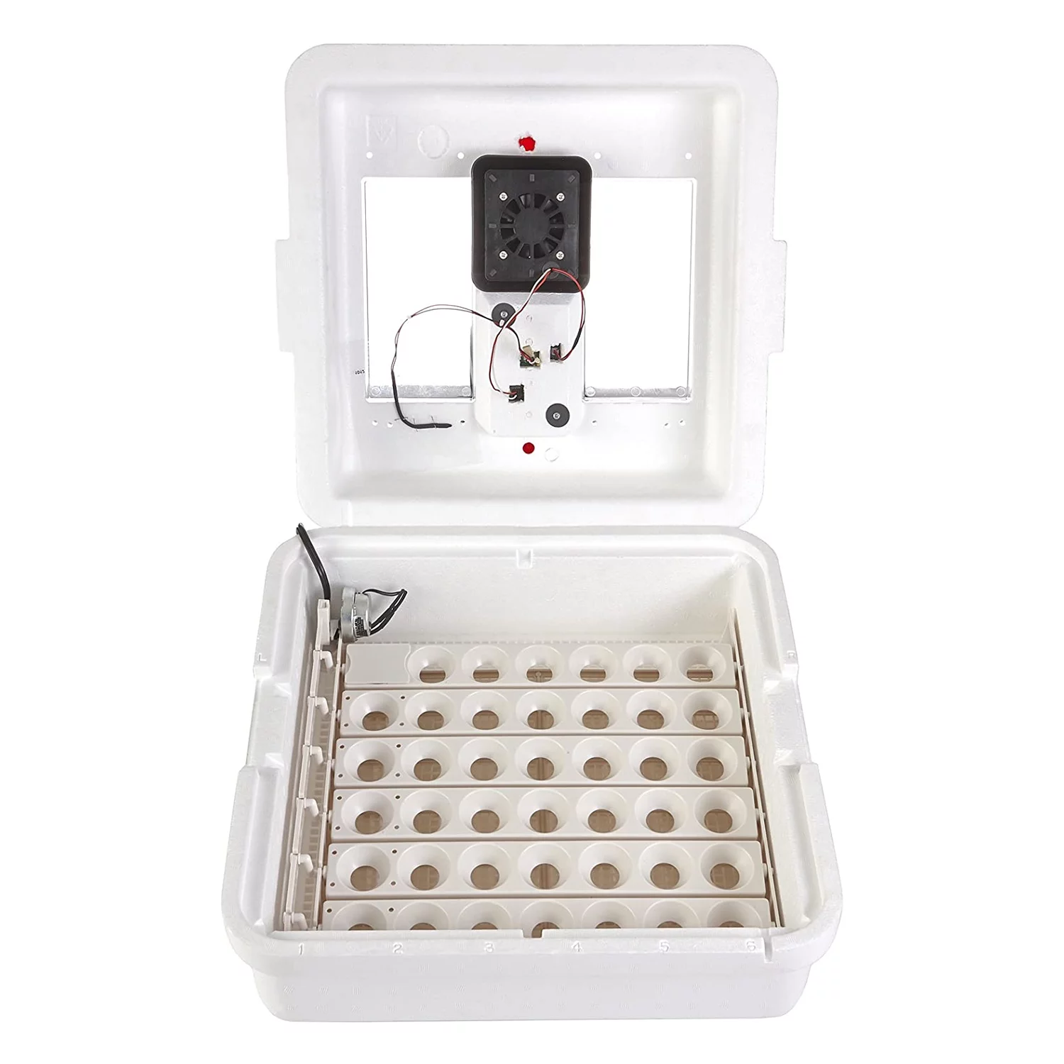 Miller Manufacturing 1213941 Deluxe Circulated Air Incubator with Egg Turner