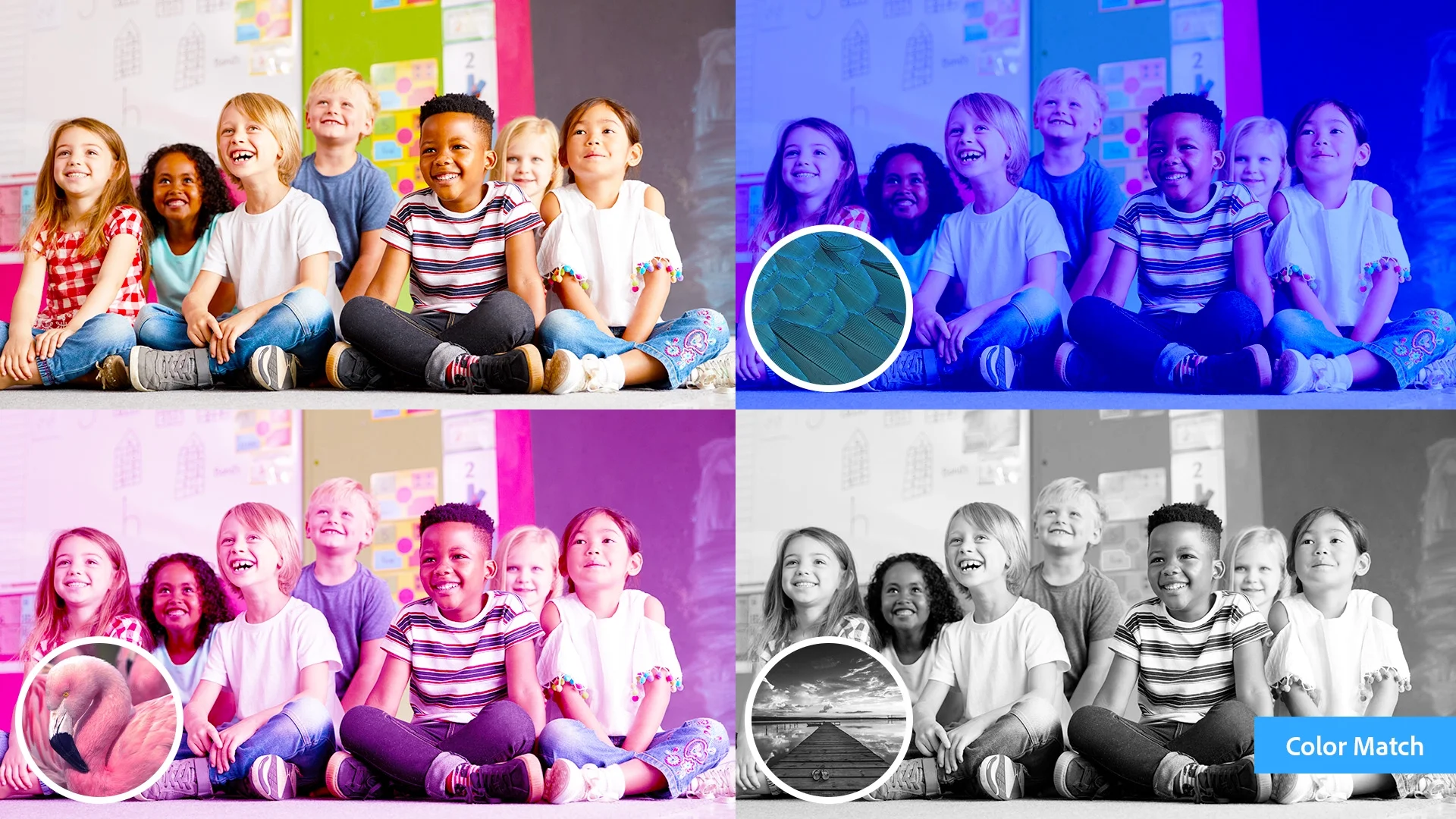 Adobe - Photoshop Elements 2024 & Premiere Elements 2024 - Windows [Digital Download]