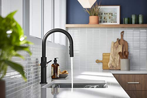 Kohler Crue Kitchen Sink Faucet