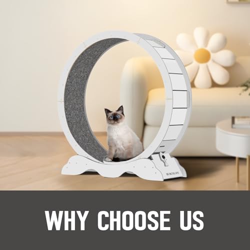 Cat Exercise Wheel 45 Inch Cat Treadmill for Indoor Cats, Running Wheel with Detachable Carpeted Runway