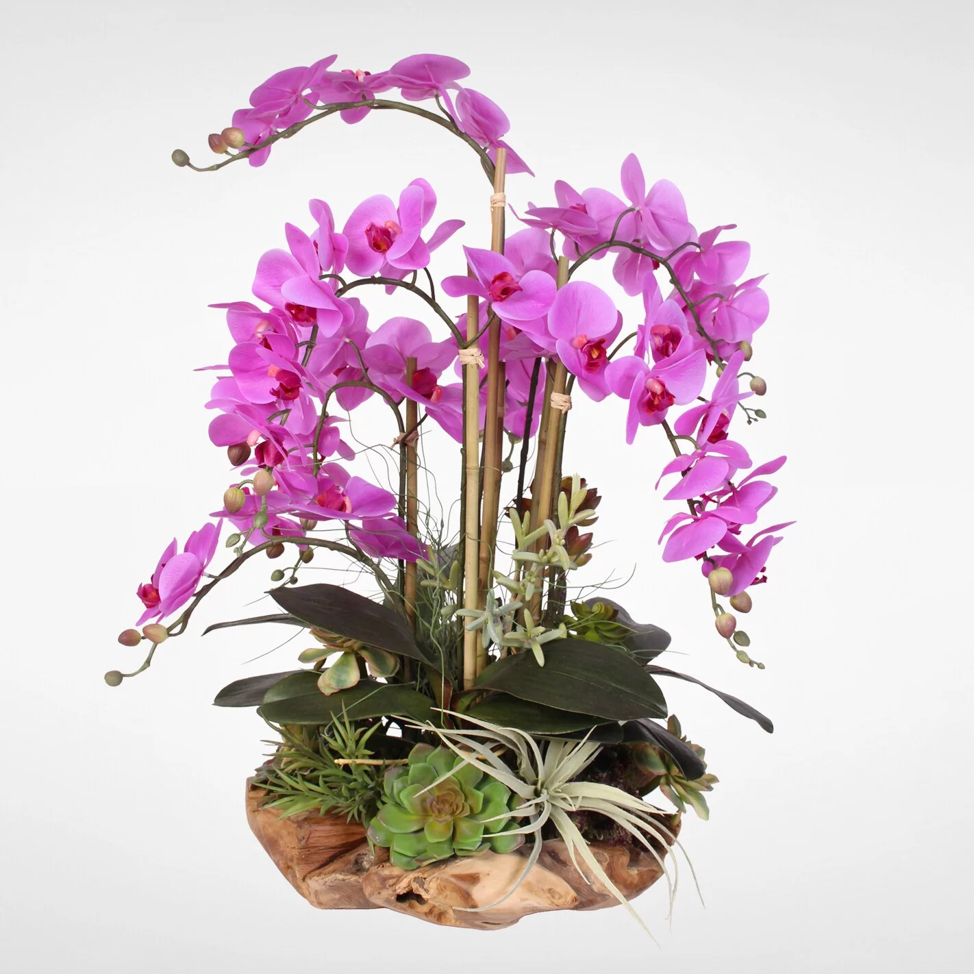 Jenny Silks Real Touch 7-stems Phalaenopsis Silk Orchids With Succulents in Natural Wood Bowl