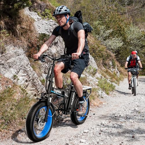 1000W Folding Electric Bike, 48V 20AH Large Removable Battery E Bike, 30+MPH, 80 Miles Max Range, 20" Fat Tire Electric Bike for Adults