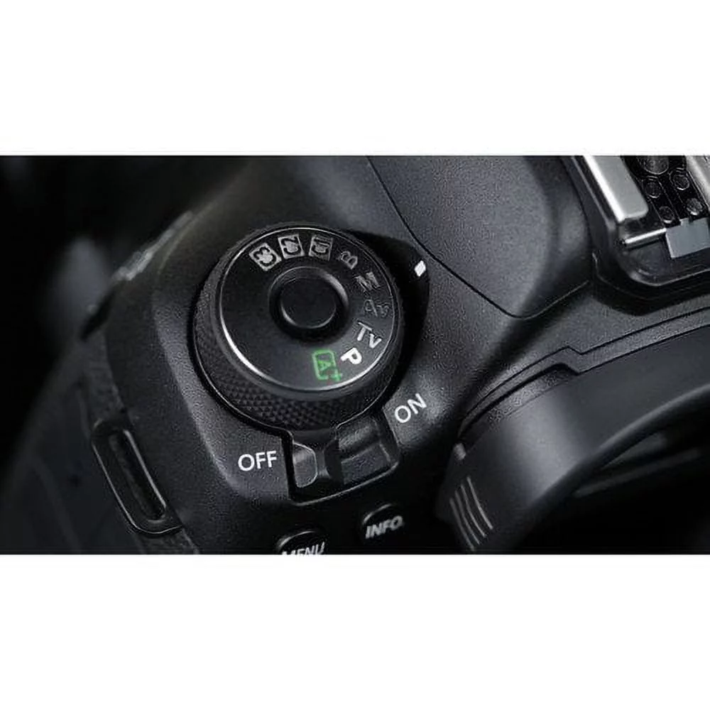 Canon EOS 5D Mark IV DSLR Camera with 24-105mm f/4L II Lens (Intl Model) W/ Bag, Extra Battery, LED Light, Mic, Filters and More - Advanced Bundle
