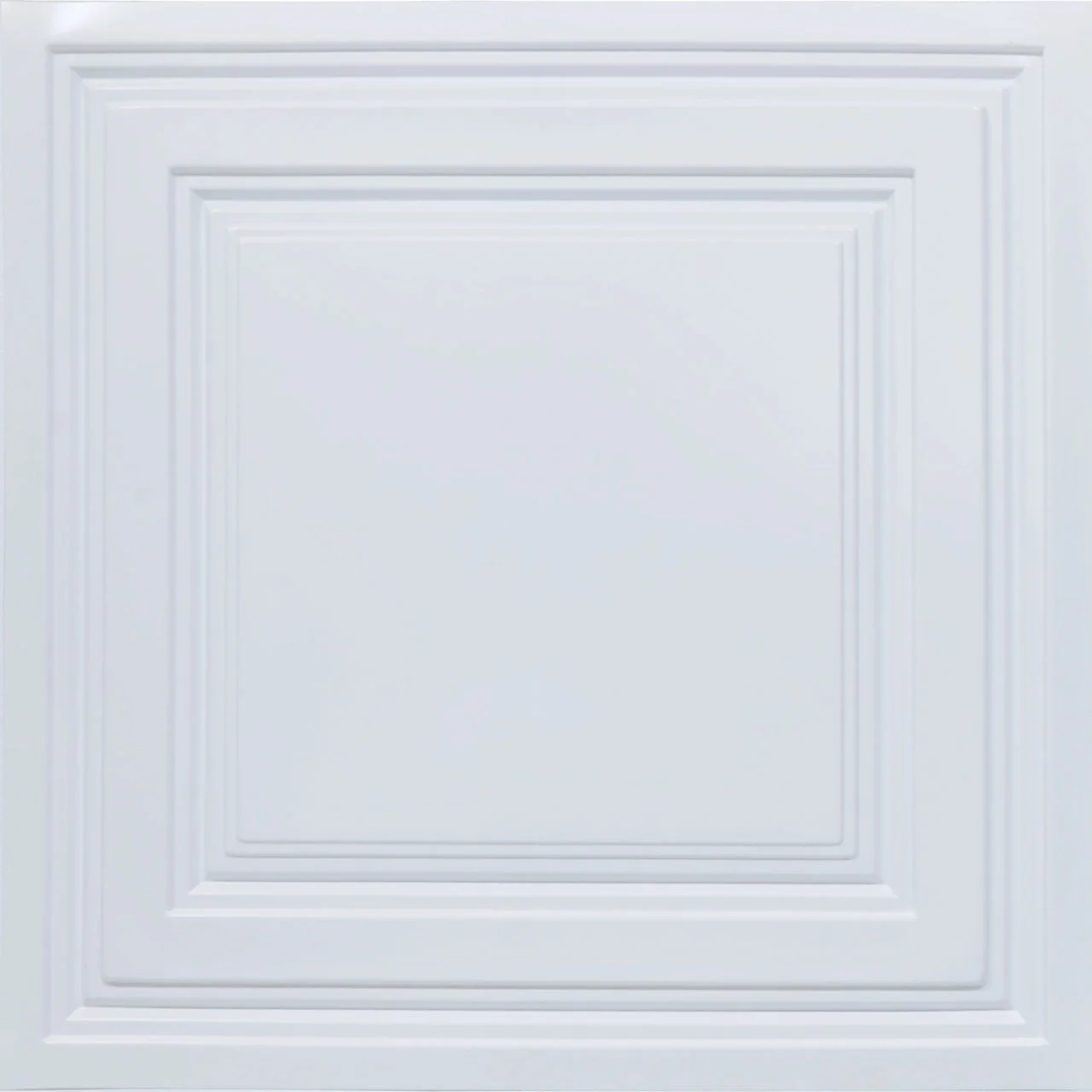 232-Economy 2 ft. x 2 ft. PVC Lay-in Ceiling Tile in Plain White (40 Sq.ft / Pack) - 10 Pieces