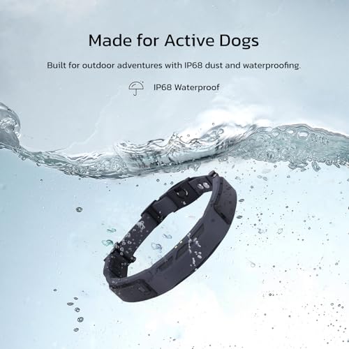 SATELLAI GPS Dog Collar &mdash; World's First GPS Wireless Dog Fence Collar with AI Analysis, Precise Positioning, Invisible Dog Fence