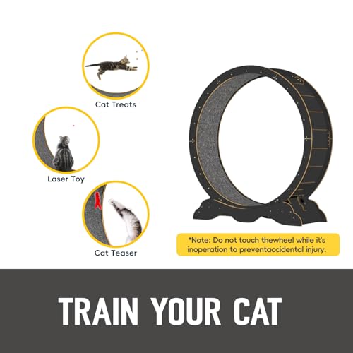 Cat Exercise Wheel 45 Inch Cat Treadmill for Indoor Cats, Running Wheel with Detachable Carpeted Runway