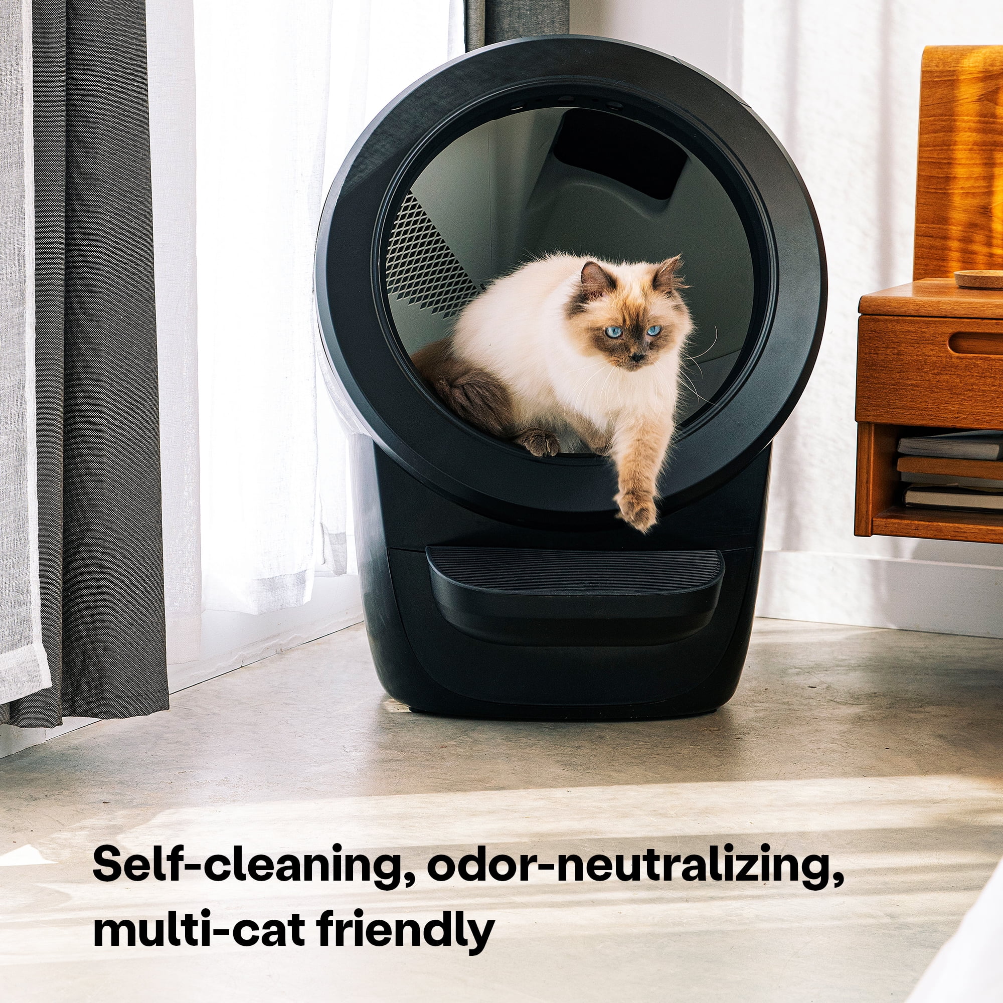 Litter-Robot 4 Automatic Self-Cleaning Cat Litter Box with Step, Black